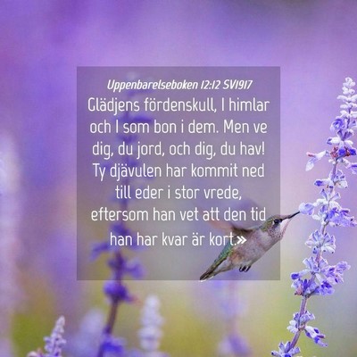 Picture 04 - Uppenbarelseboken 12:12 SV1917 - Glädjens fördenskull, I himlar och I som bon i - Bible Verse Picture