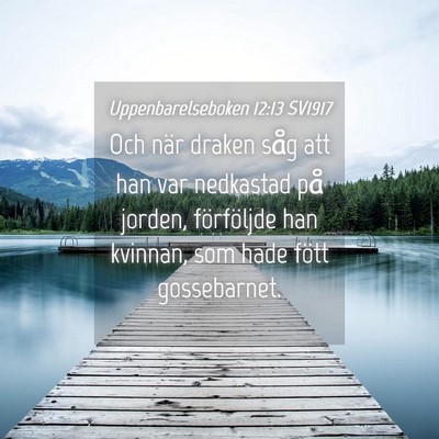 Picture 04 - Uppenbarelseboken 12:13 SV1917 - Och när draken såg att han var nedkastad på - Bible Verse Picture