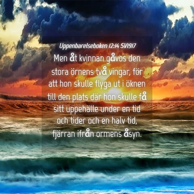 Picture 04 - Uppenbarelseboken 12:14 SV1917 - Men åt kvinnan gåvos den stora örnens två - Bible Verse Picture