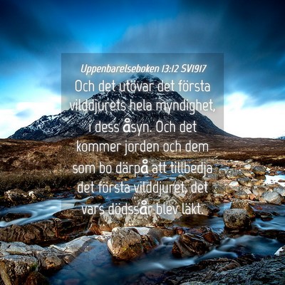 Picture 04 - Uppenbarelseboken 13:12 SV1917 - Och det utövar det första vilddjurets hela - Bible Verse Picture