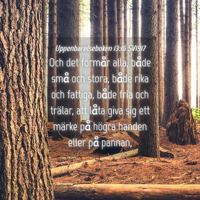 Picture 04 - Uppenbarelseboken 13:16 SV1917 - Och det förmår alla, både små och stora, - Bible Verse Picture
