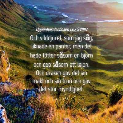 Picture 04 - Uppenbarelseboken 13:2 SV1917 - Och vilddjuret, som jag såg, liknade en panter, - Bible Verse Picture