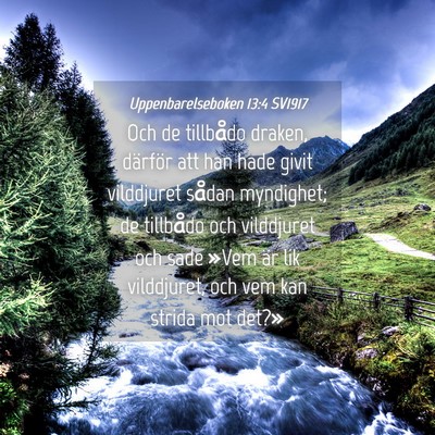 Picture 04 - Uppenbarelseboken 13:4 SV1917 - Och de tillbådo draken, därför att han hade - Bible Verse Picture