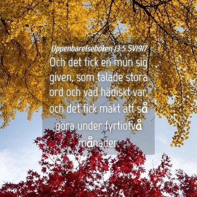 Picture 04 - Uppenbarelseboken 13:5 SV1917 - Och det fick en mun sig given, som talade stora - Bible Verse Picture