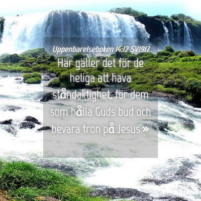 Picture 04 - Uppenbarelseboken 14:12 SV1917 - Här gäller det för de heliga att hava - Bible Verse Picture