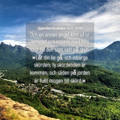 Picture 04 - Uppenbarelseboken 14:15 SV1917 - Och en annan ängel kom ut ur templet och ropade - Bible Verse Picture