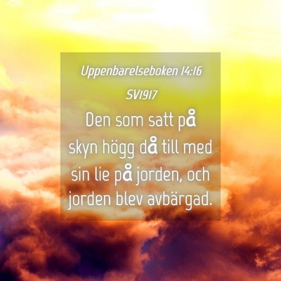 Picture 04 - Uppenbarelseboken 14:16 SV1917 - Den som satt på skyn högg då till med sin lie - Bible Verse Picture