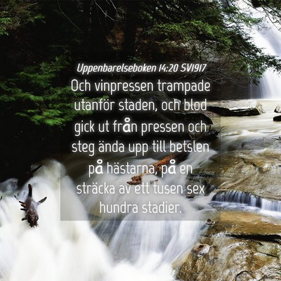Picture 04 - Uppenbarelseboken 14:20 SV1917 - Och vinpressen trampade utanför staden, och blod - Bible Verse Picture