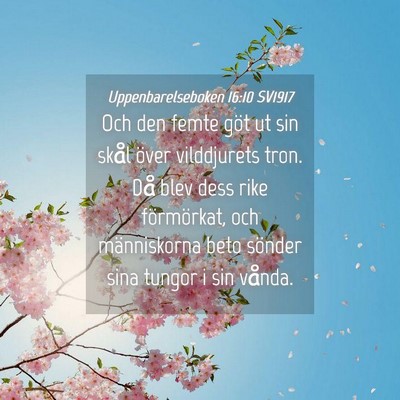 Picture 04 - Uppenbarelseboken 16:10 SV1917 - Och den femte göt ut sin skål över vilddjurets - Bible Verse Picture