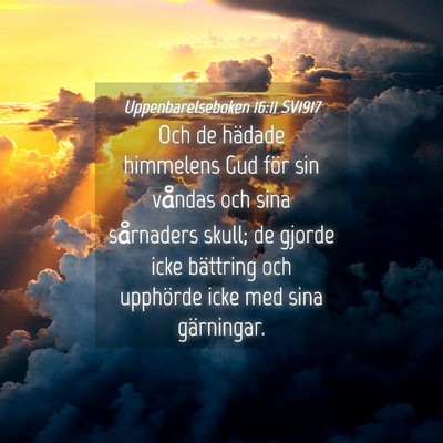 Picture 04 - Uppenbarelseboken 16:11 SV1917 - Och de hädade himmelens Gud för sin våndas och - Bible Verse Picture