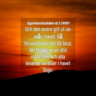 Picture 04 - Uppenbarelseboken 16:3 SV1917 - Och den andre göt ut sin skål i havet. Då - Bible Verse Picture