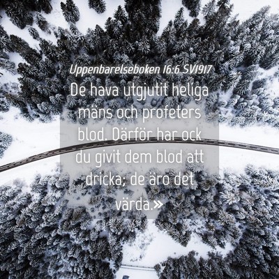 Picture 04 - Uppenbarelseboken 16:6 SV1917 - De hava utgjutit heliga mäns och profeters blod. - Bible Verse Picture