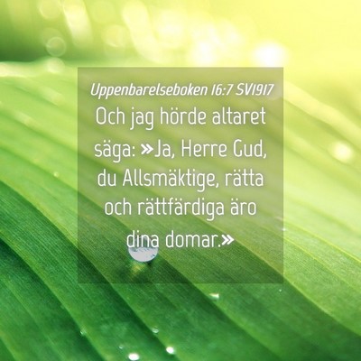 Picture 04 - Uppenbarelseboken 16:7 SV1917 - Och jag hörde altaret säga: »Ja, Herre Gud, du - Bible Verse Picture