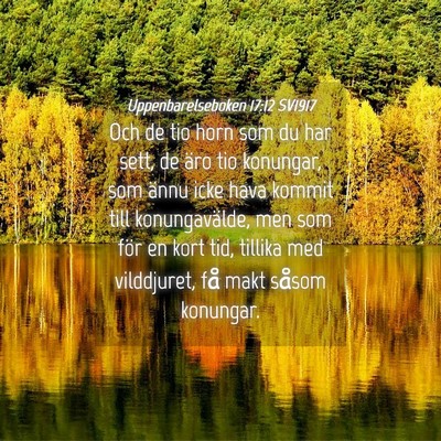 Picture 04 - Uppenbarelseboken 17:12 SV1917 - Och de tio horn som du har sett, de äro tio - Bible Verse Picture