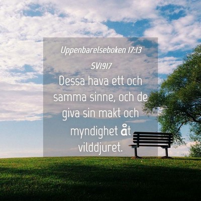 Picture 04 - Uppenbarelseboken 17:13 SV1917 - Dessa hava ett och samma sinne, och de giva sin - Bible Verse Picture