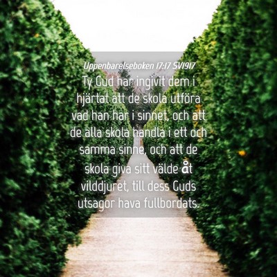 Picture 04 - Uppenbarelseboken 17:17 SV1917 - Ty Gud har ingivit dem i hjärtat att de skola - Bible Verse Picture
