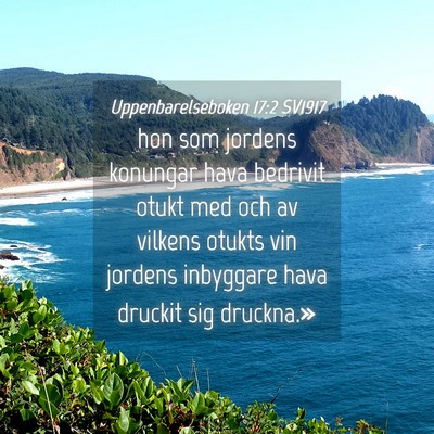 Picture 04 - Uppenbarelseboken 17:2 SV1917 - hon som jordens konungar hava bedrivit otukt med - Bible Verse Picture