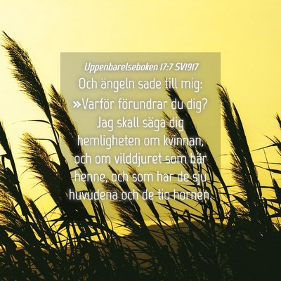 Picture 04 - Uppenbarelseboken 17:7 SV1917 - Och ängeln sade till mig: »Varför förundrar - Bible Verse Picture