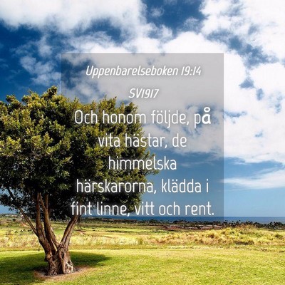 Picture 04 - Uppenbarelseboken 19:14 SV1917 - Och honom följde, på vita hästar, de himmelska - Bible Verse Picture