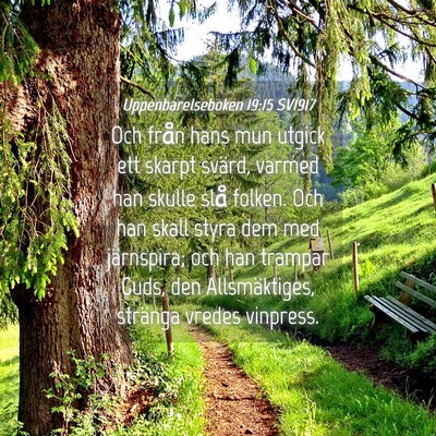 Picture 04 - Uppenbarelseboken 19:15 SV1917 - Och från hans mun utgick ett skarpt svärd, - Bible Verse Picture