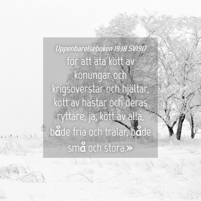 Picture 04 - Uppenbarelseboken 19:18 SV1917 - för att äta kött av konungar och - Bible Verse Picture