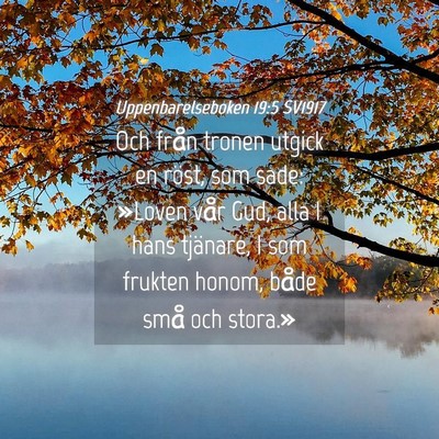 Picture 04 - Uppenbarelseboken 19:5 SV1917 - Och från tronen utgick en röst, som sade: - Bible Verse Picture
