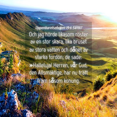Picture 04 - Uppenbarelseboken 19:6 SV1917 - Och jag hörde likasom röster av en stor skara, - Bible Verse Picture