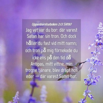 Picture 04 - Uppenbarelseboken 2:13 SV1917 - Jag vet var du bor: där varest Satan har sin - Bible Verse Picture
