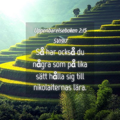 Picture 04 - Uppenbarelseboken 2:15 SV1917 - Så har också du några som på lika sätt - Bible Verse Picture