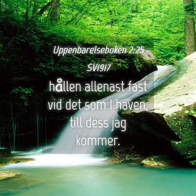 Picture 04 - Uppenbarelseboken 2:25 SV1917 - hållen allenast fast vid det som I haven, till - Bible Verse Picture