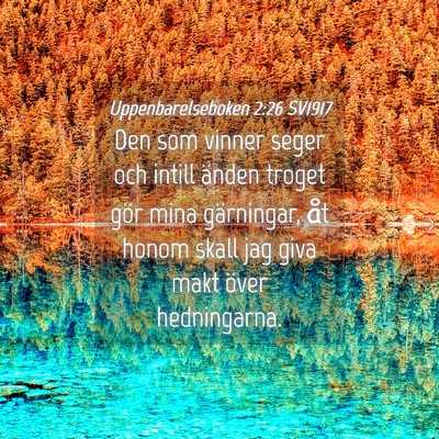 Picture 04 - Uppenbarelseboken 2:26 SV1917 - Den som vinner seger och intill änden troget - Bible Verse Picture