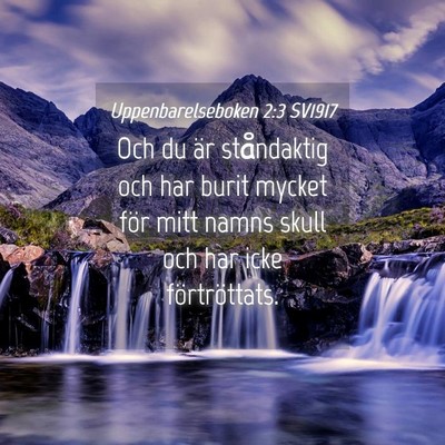 Picture 04 - Uppenbarelseboken 2:3 SV1917 - Och du är ståndaktig och har burit mycket för - Bible Verse Picture