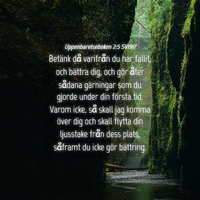 Picture 04 - Uppenbarelseboken 2:5 SV1917 - Betänk då varifrån du har fallit, och bättra - Bible Verse Picture
