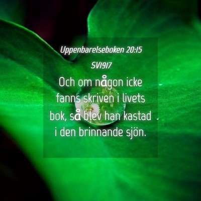 Picture 04 - Uppenbarelseboken 20:15 SV1917 - Och om någon icke fanns skriven i livets bok, - Bible Verse Picture
