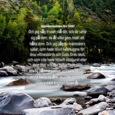 Picture 04 - Uppenbarelseboken 20:4 SV1917 - Och jag såg troner stå där, och de satte sig - Bible Verse Picture