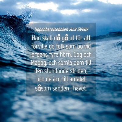 Picture 04 - Uppenbarelseboken 20:8 SV1917 - Han skall då gå ut för att förvilla de folk - Bible Verse Picture