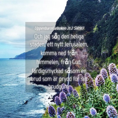 Picture 04 - Uppenbarelseboken 21:2 SV1917 - Och jag såg den heliga staden, ett nytt - Bible Verse Picture