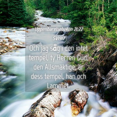 Picture 04 - Uppenbarelseboken 21:22 SV1917 - Och jag såg i den intet tempel, ty Herren Gud, - Bible Verse Picture