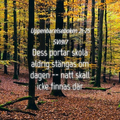 Picture 04 - Uppenbarelseboken 21:25 SV1917 - Dess portar skola aldrig stängas om dagen -- - Bible Verse Picture