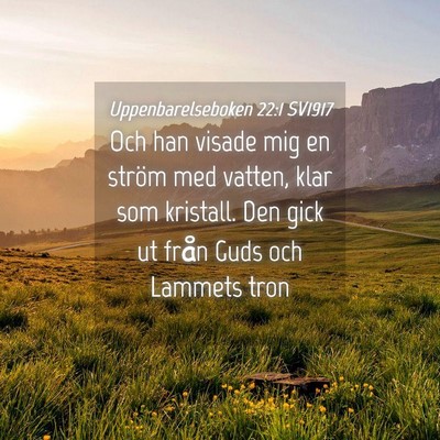 Picture 04 - Uppenbarelseboken 22:1 SV1917 - Och han visade mig en ström med vatten, klar som - Bible Verse Picture