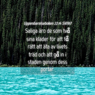 Picture 04 - Uppenbarelseboken 22:14 SV1917 - Saliga äro de som två sina kläder för att få - Bible Verse Picture