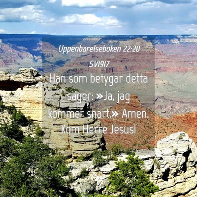 Picture 04 - Uppenbarelseboken 22:20 SV1917 - Han som betygar detta säger: »Ja, jag kommer - Bible Verse Picture