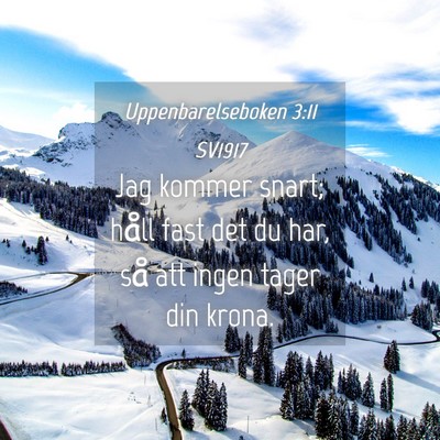 Picture 04 - Uppenbarelseboken 3:11 SV1917 - Jag kommer snart; håll fast det du har, så att - Bible Verse Picture
