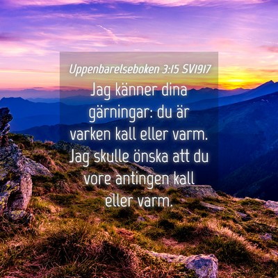 Picture 04 - Uppenbarelseboken 3:15 SV1917 - Jag känner dina gärningar: du är varken kall - Bible Verse Picture