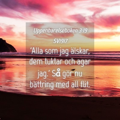 Picture 04 - Uppenbarelseboken 3:19 SV1917 - 'Alla som jag älskar, dem tuktar och agar jag.' - Bible Verse Picture