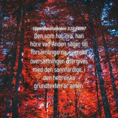 Picture 04 - Uppenbarelseboken 3:22 SV1917 - Den som har öra, han höre vad Anden säger till - Bible Verse Picture