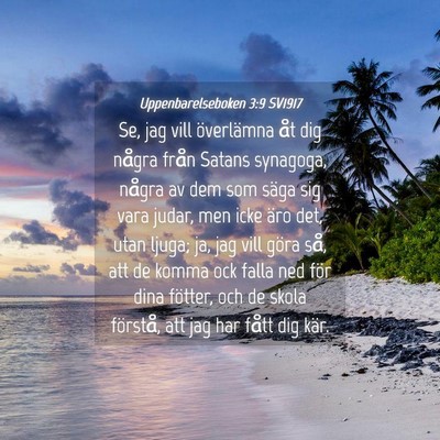 Picture 04 - Uppenbarelseboken 3:9 SV1917 - Se, jag vill överlämna åt dig några från - Bible Verse Picture