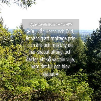 Picture 04 - Uppenbarelseboken 4:11 SV1917 - »Du, vår Herre och Gud, är värdig att mottaga - Bible Verse Picture