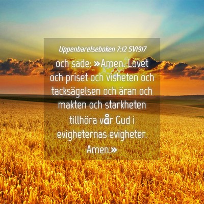 Picture 04 - Uppenbarelseboken 7:12 SV1917 - och sade: »Amen. Lovet och priset och visheten - Bible Verse Picture