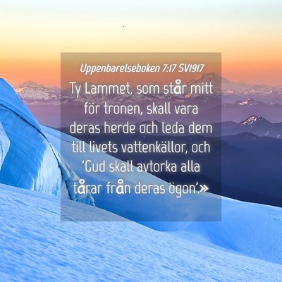 Picture 04 - Uppenbarelseboken 7:17 SV1917 - Ty Lammet, som står mitt för tronen, skall vara - Bible Verse Picture